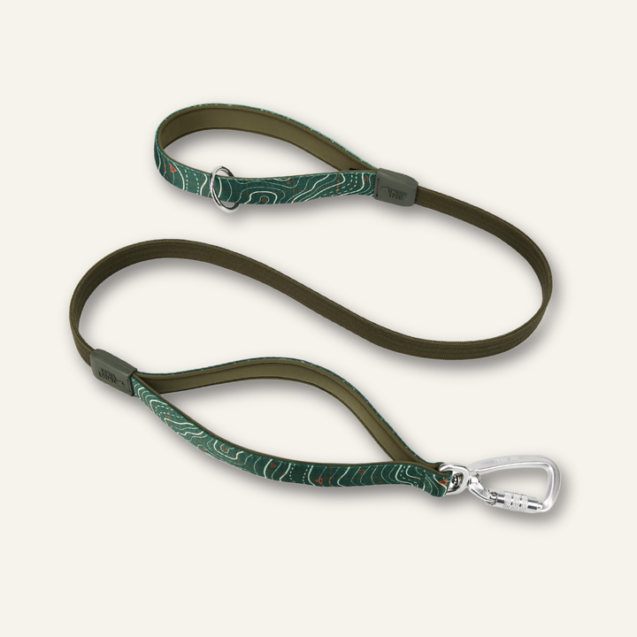 Bungee Lead