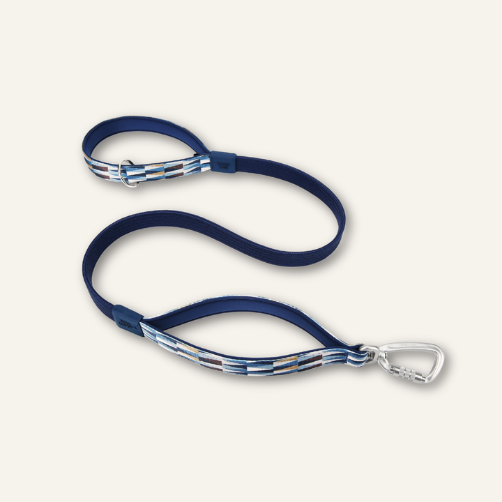 Bungee Lead