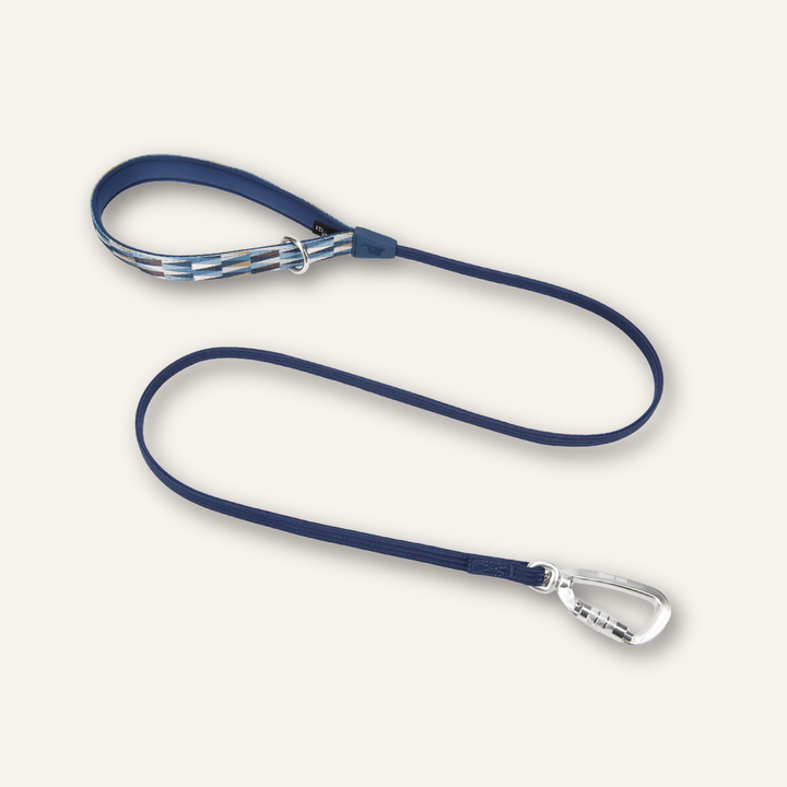Bungee Lead