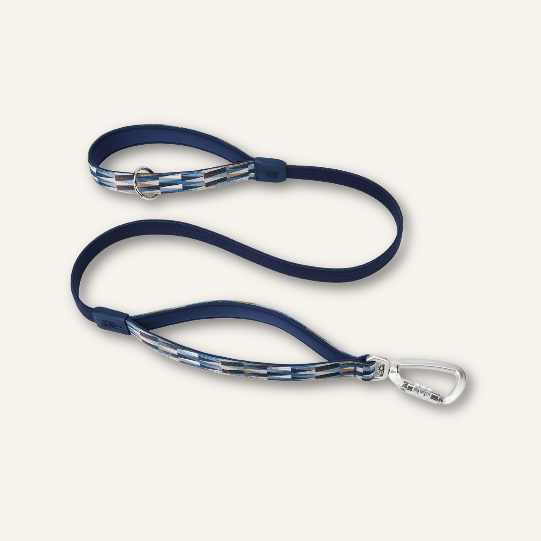 Bungee Lead