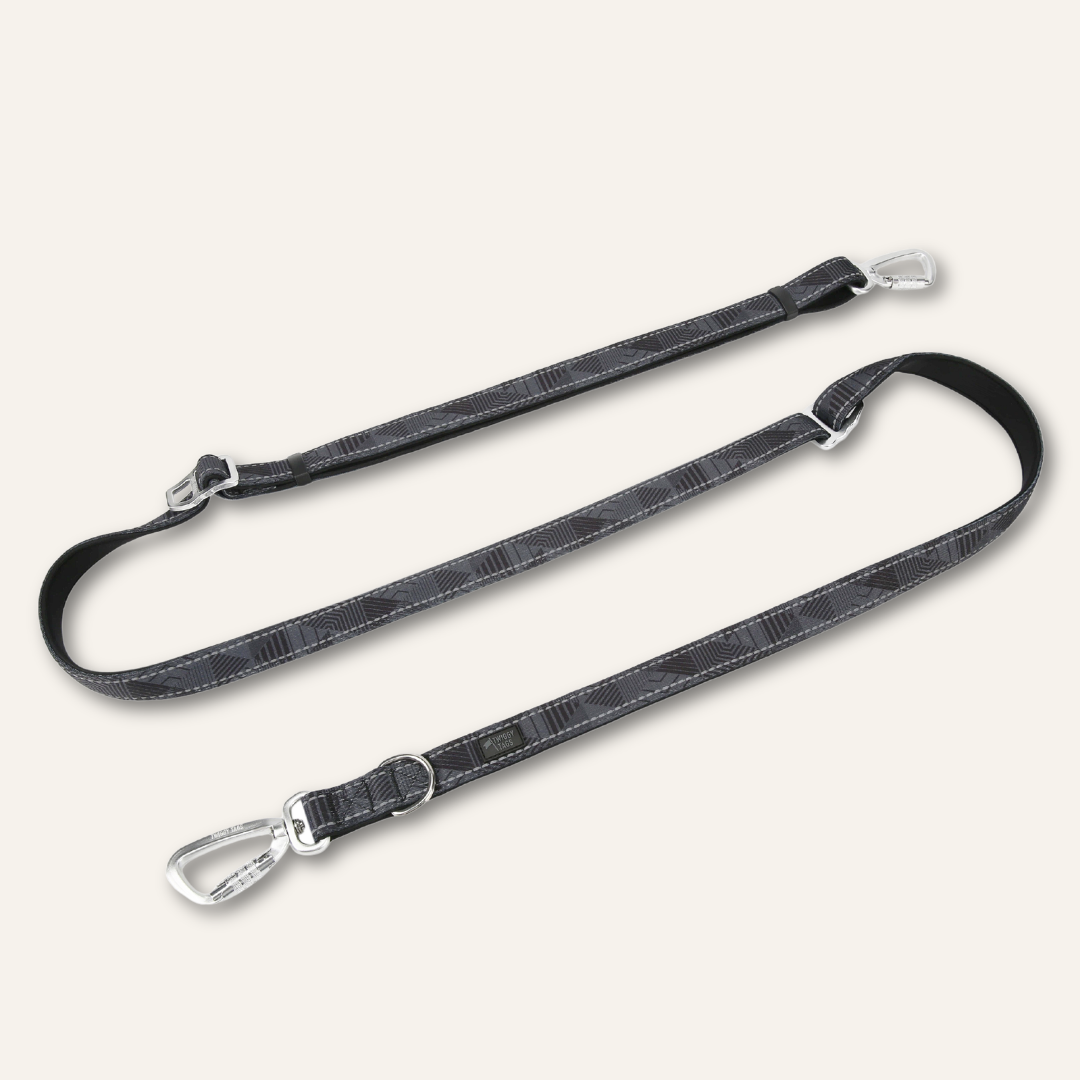 Multi-Way Lead