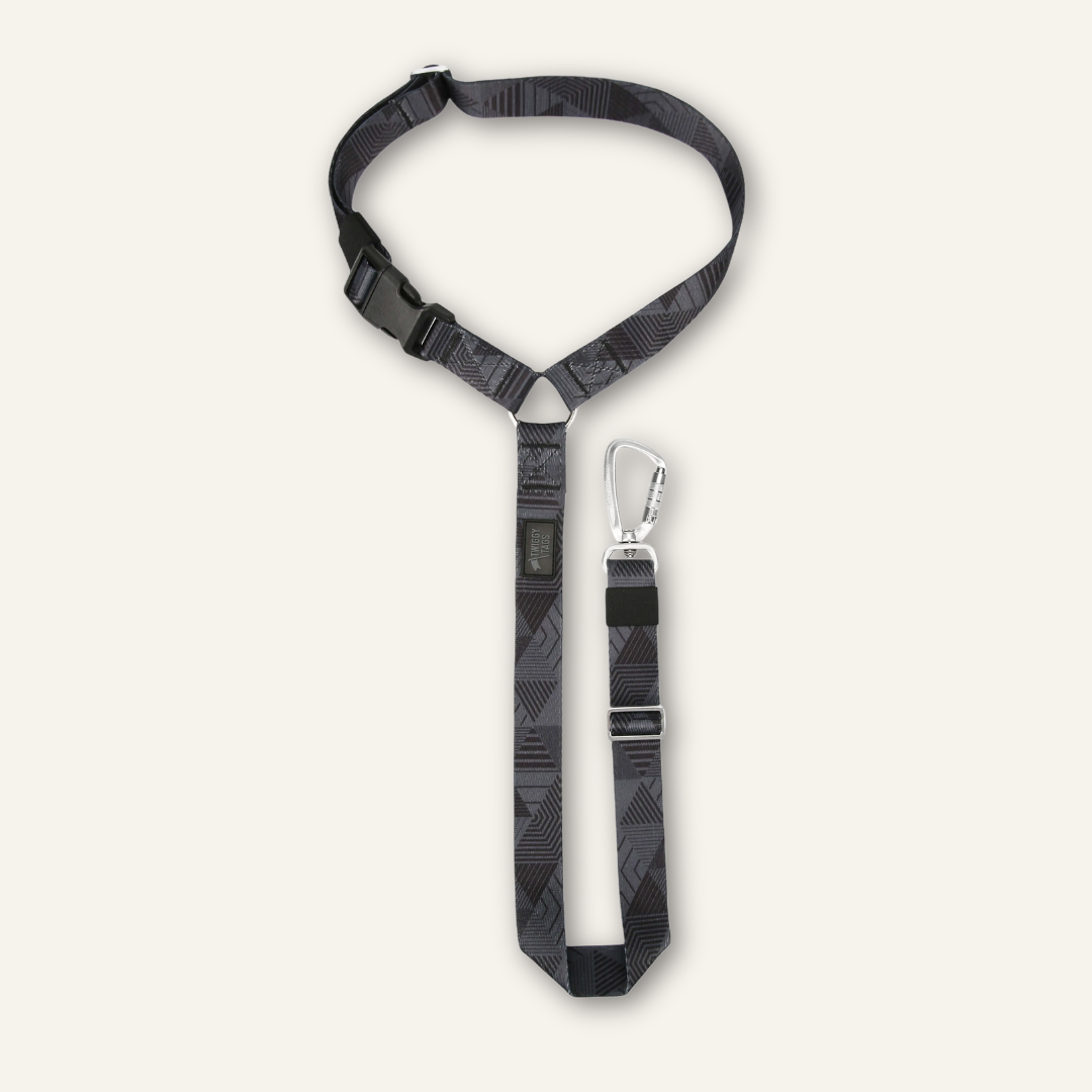 Headrest Seat Belt
