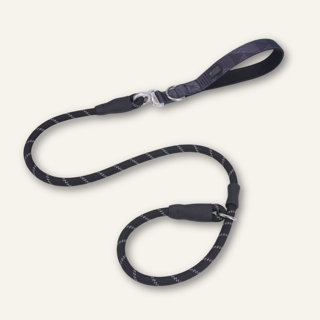 Slip Lead