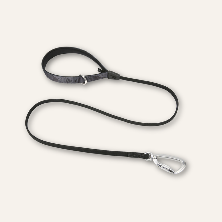 Bungee Lead