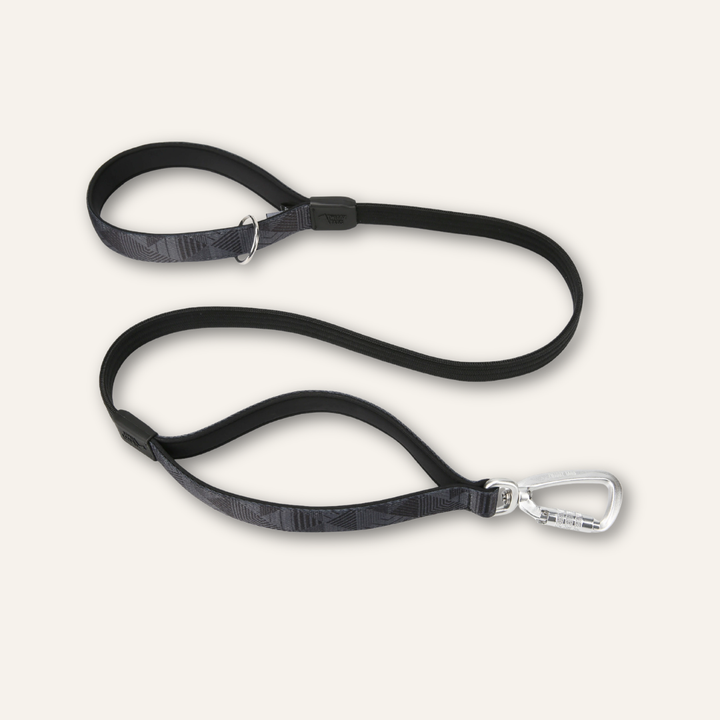 Bungee Lead