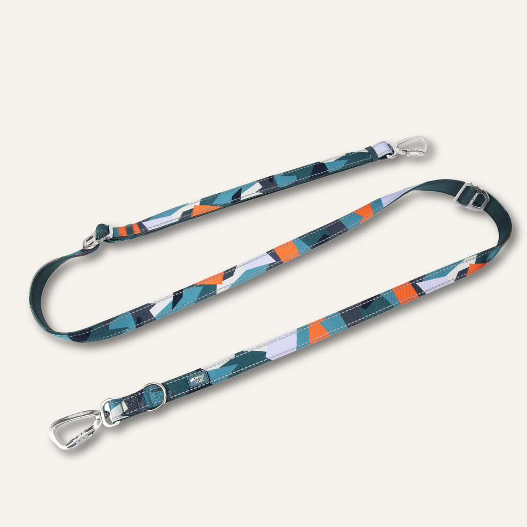 Multi-Way Lead