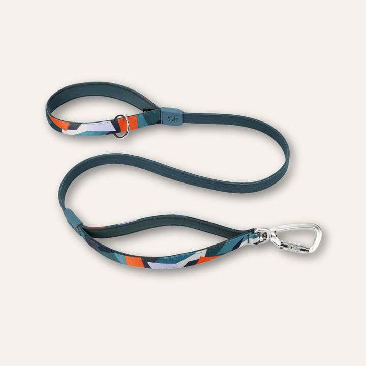 Bungee Lead