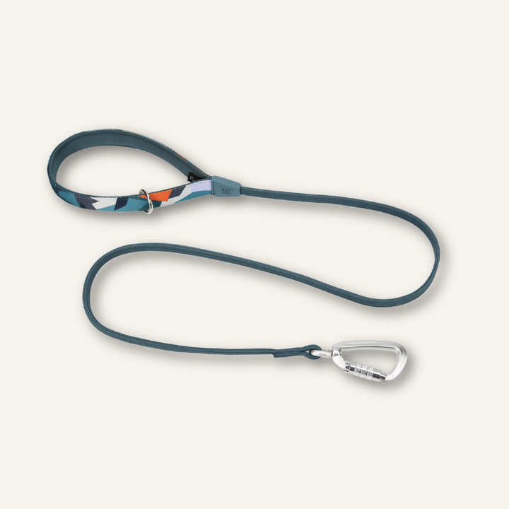 Bungee Lead
