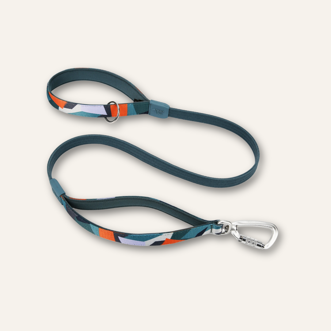 Bungee Lead