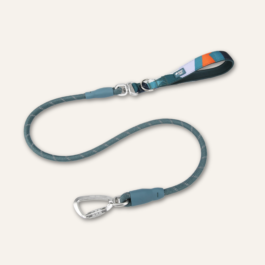 Rope Lead