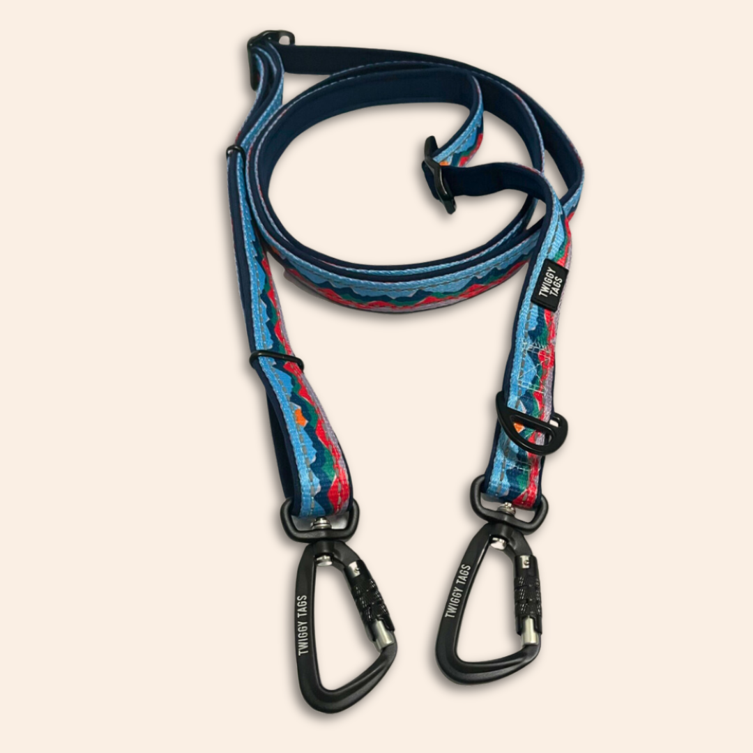 Multi purpose dog sales leash